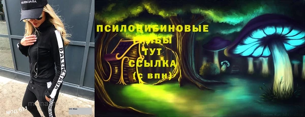 mdma Новодвинск