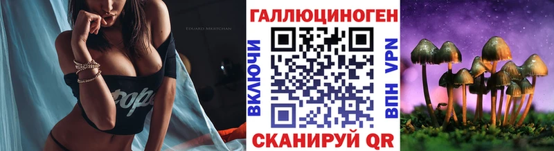 ОМГ ОМГ зеркало  Баксан  Псилоцибиновые грибы ЛСД 
