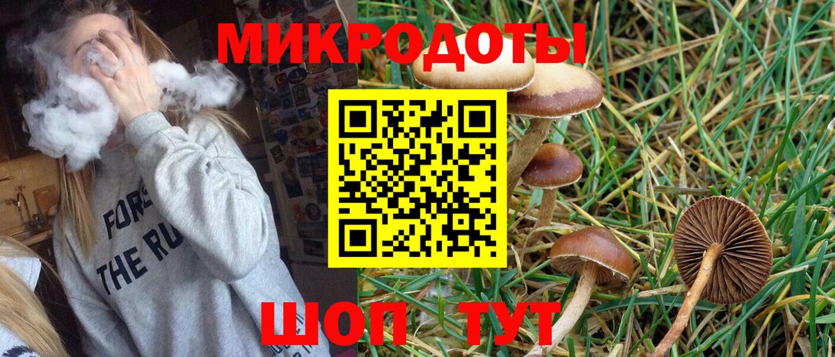 Псилоцибиновые грибы мицелий Баксан