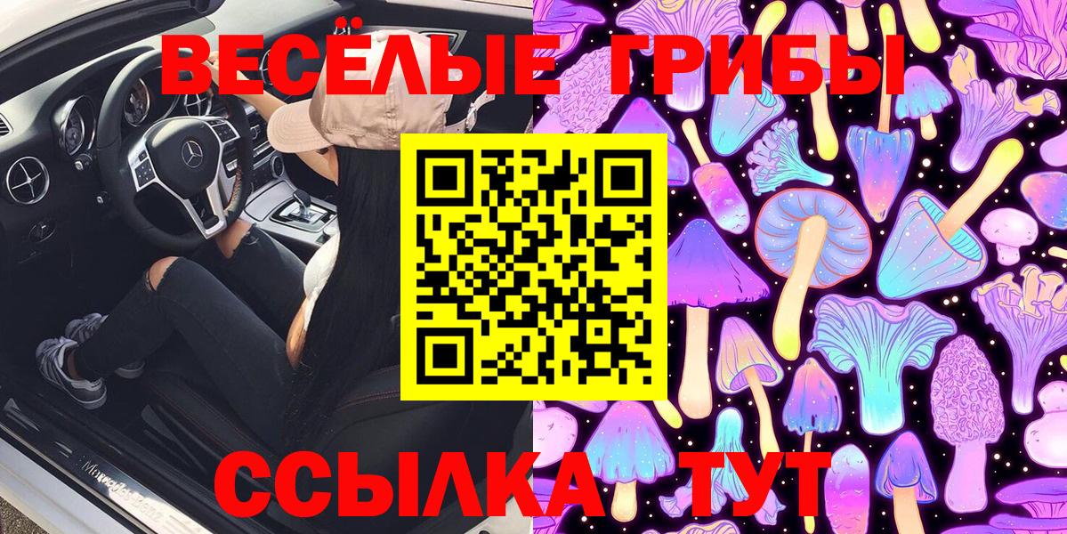 где продают наркотики  Галлюциногенные грибы ЛСД  Баксан  Вход с VPN  Галлюциногенные грибы Psilocybe 