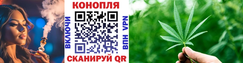 Бошки Шишки VHQ  Баксан 