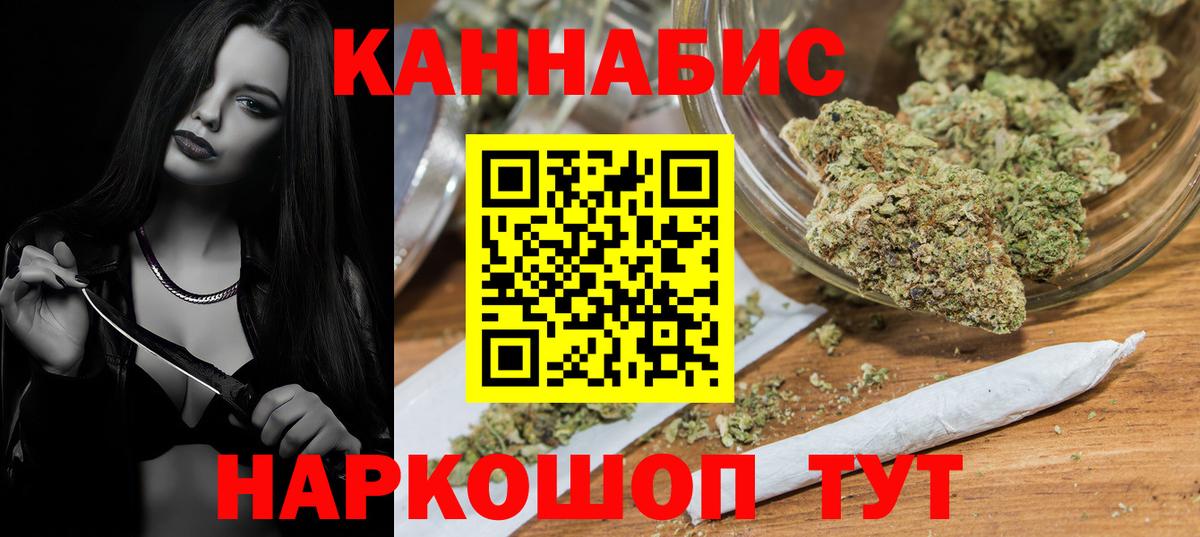 Каннабис планчик Баксан