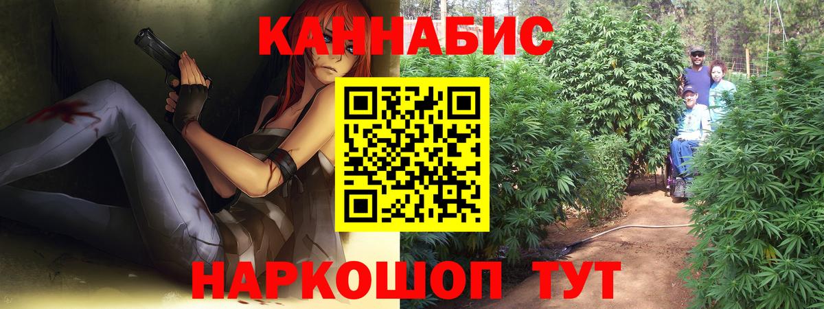 Бошки марихуана сатива  Вход с VPN  Баксан  Каннабис планчик  МАРИХУАНА сатива  Бошки Шишки конопля 